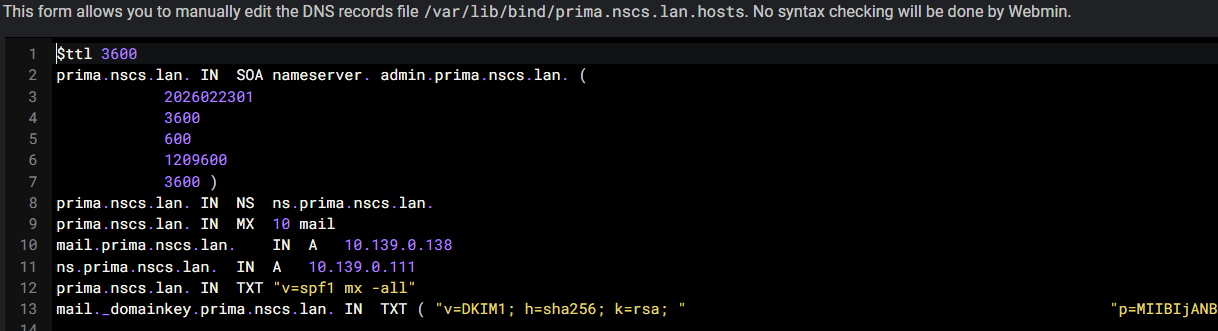 DKIM DNS Zone (raw)
