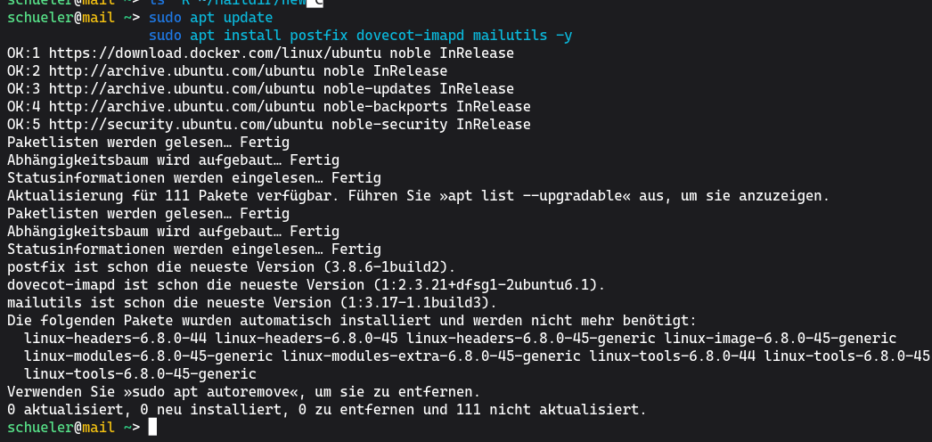 Postfix and Dovecot Installation Output